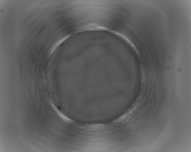 X0000072990889200608211513