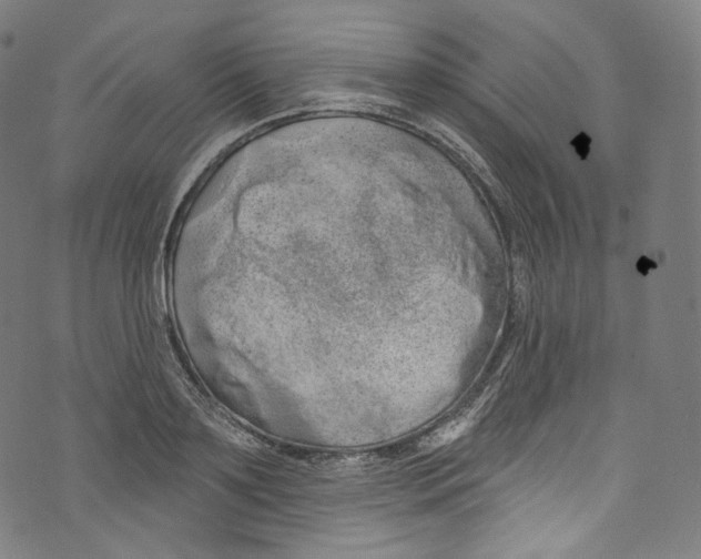 X0000072990891200608211513