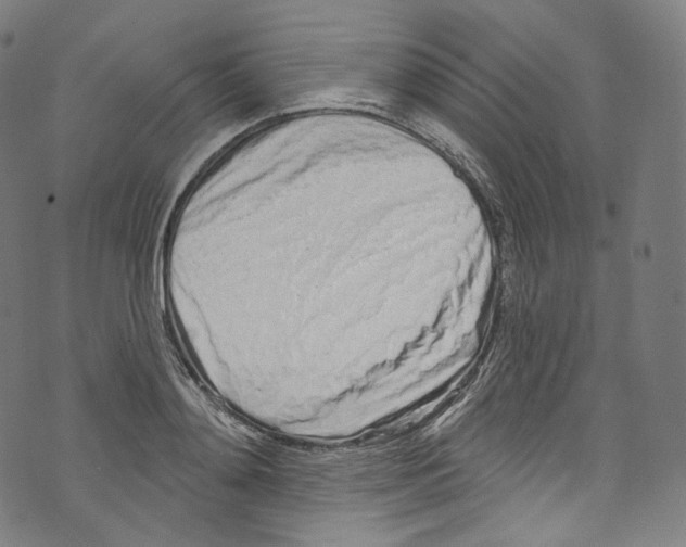 X0000072990892200608211513