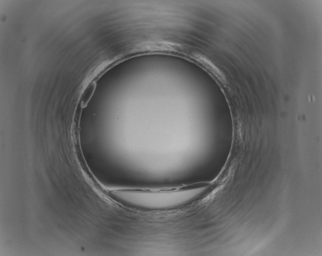 X0000072990893200608211513