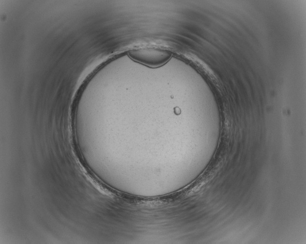 X0000072990894200608211513