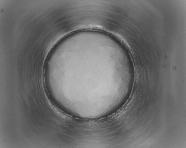 X0000072990895200608211513