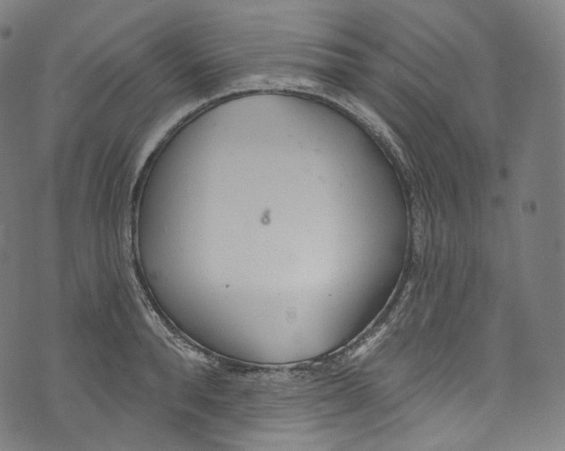 X0000072990896200608211513