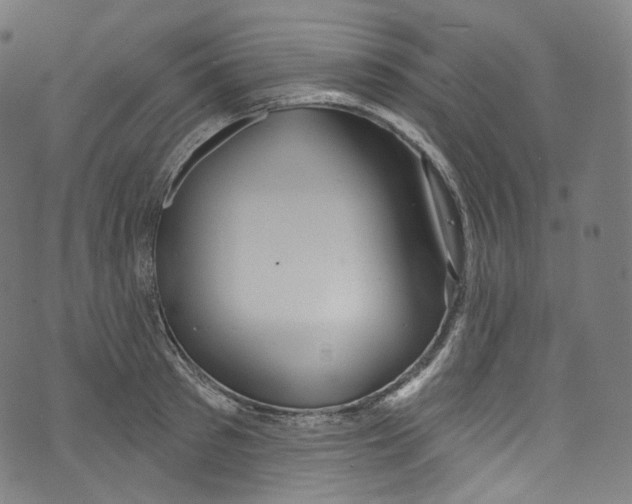 X0000072990897200608211513