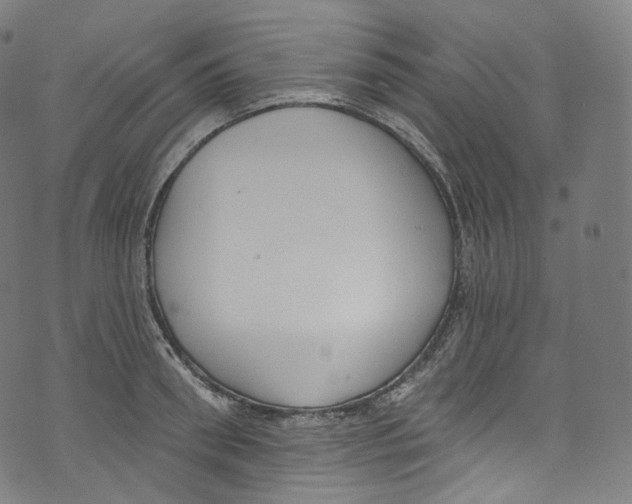 X0000072990898200608211513