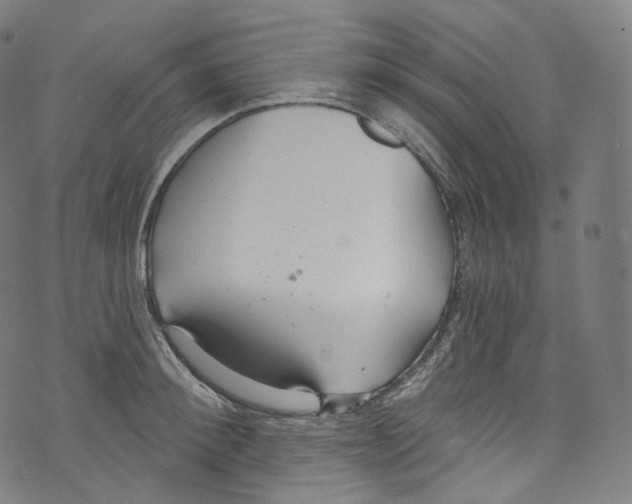 X0000072990900200608211513