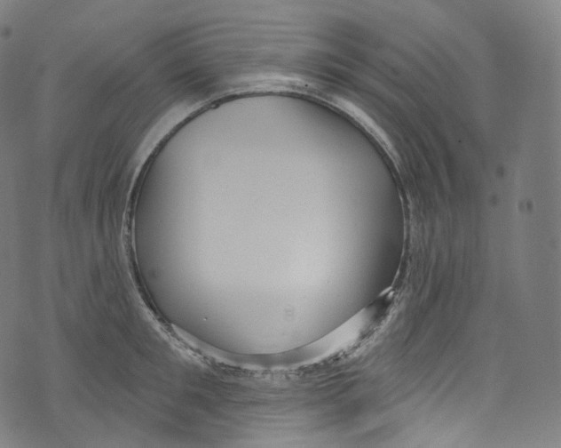 X0000072990901200608211513