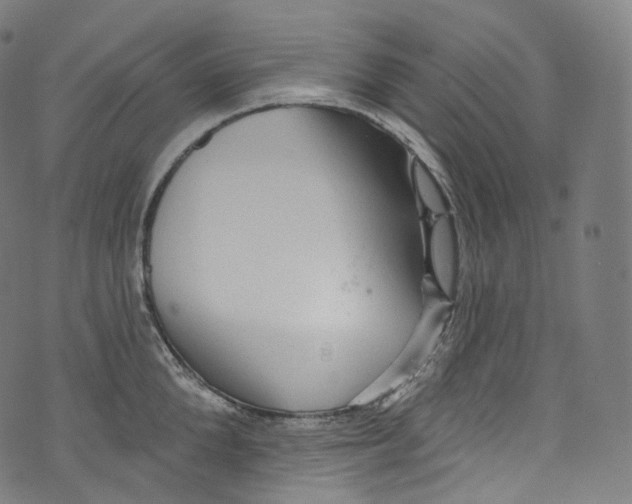 X0000072990904200608211513