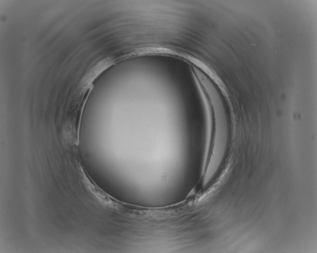 X0000072990905200608211513