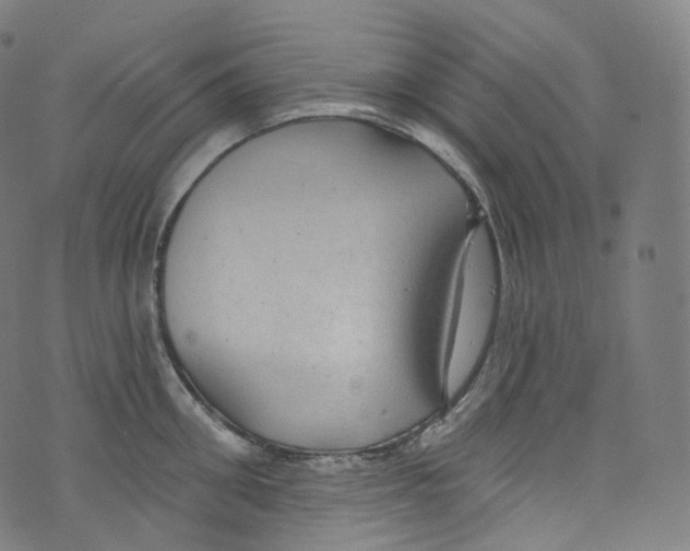 X0000072990906200608211513