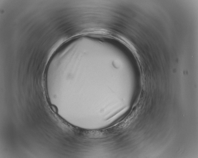 X0000072990907200608211513