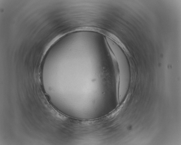 X0000072990908200608211512