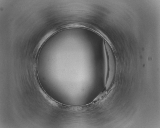 X0000072990909200608211512