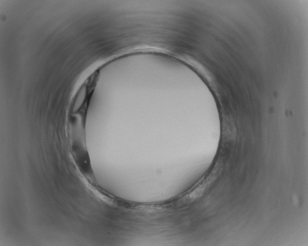 X0000072990910200608211512