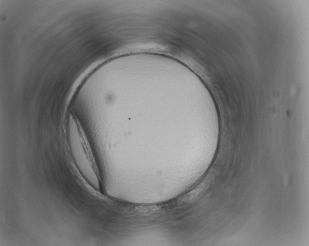 X0000072990912200608211512