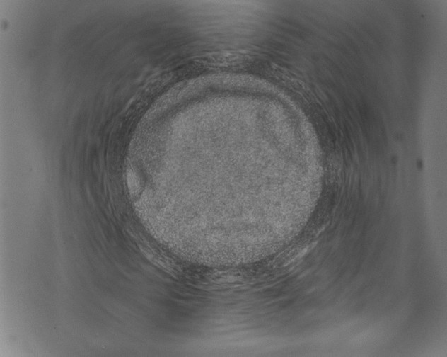 X0000072990913200608211512