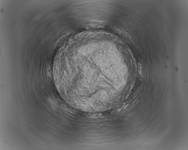 X0000072990915200608211512