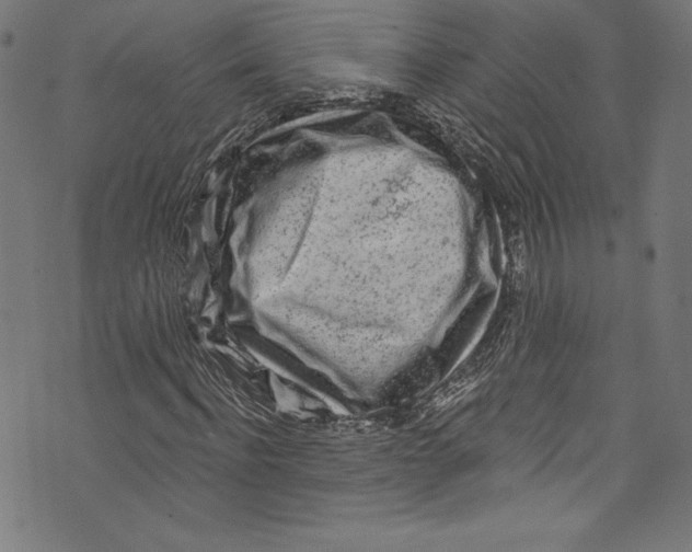 X0000072990916200608211512