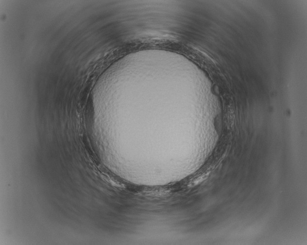 X0000072990917200608211512