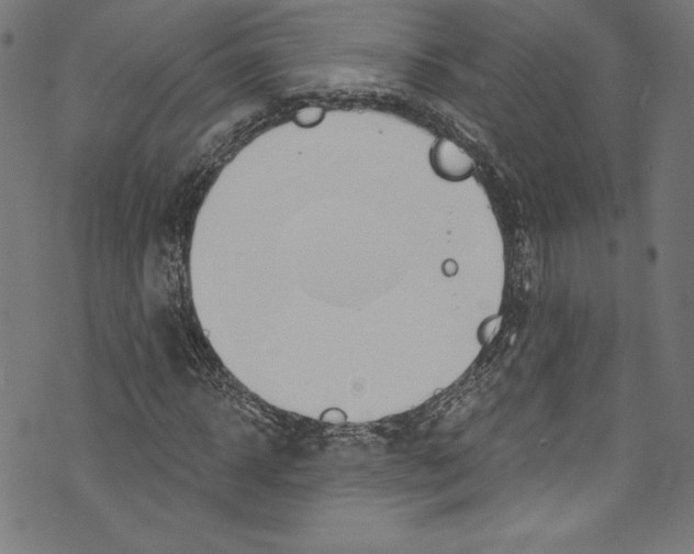 X0000072990918200608211512