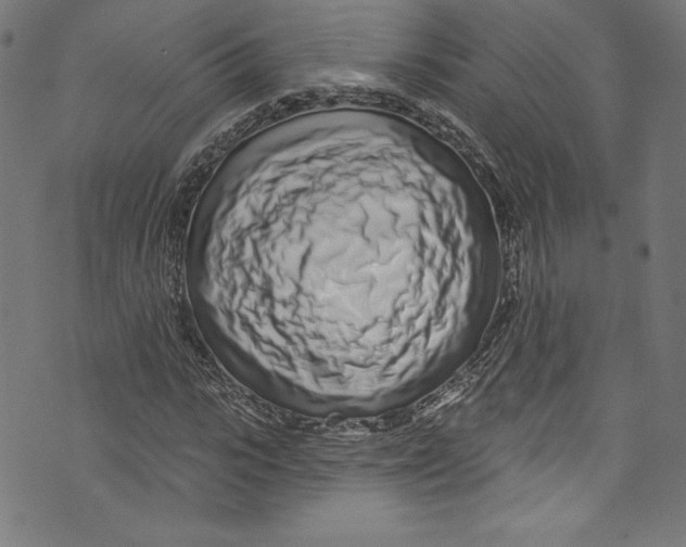 X0000072990919200608211512