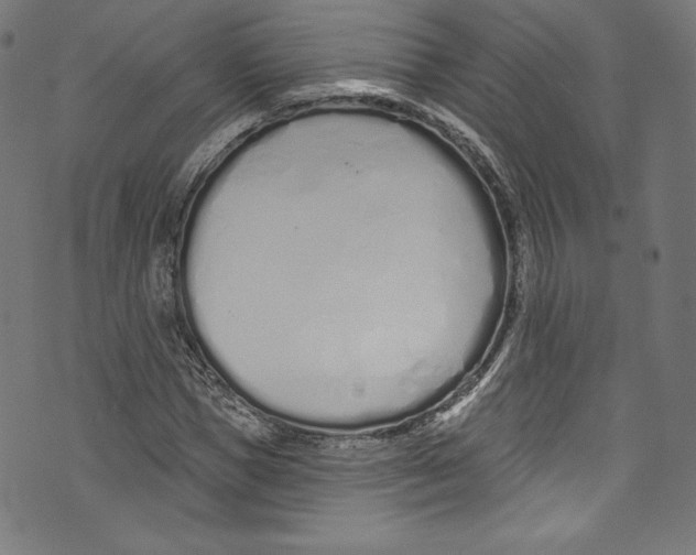 X0000072990921200608211512