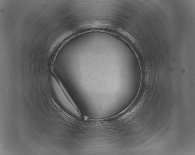 X0000072990922200608211512