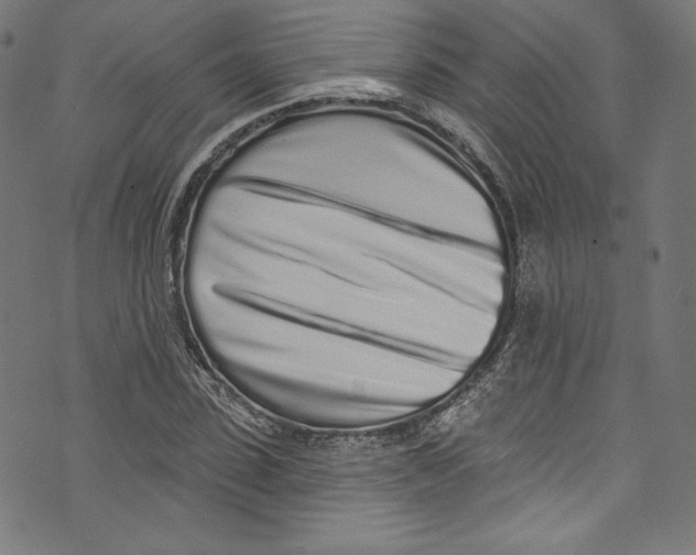 X0000072990923200608211512