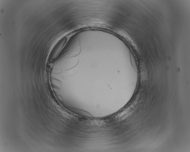 X0000072990924200608211512