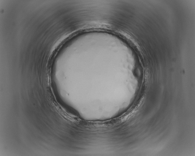 X0000072990925200608211512