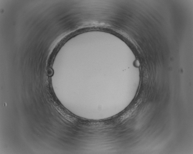 X0000072990927200608211512