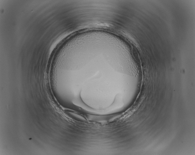 X0000072990928200608211512