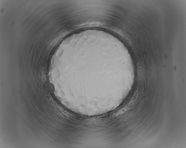 X0000072990929200608211512