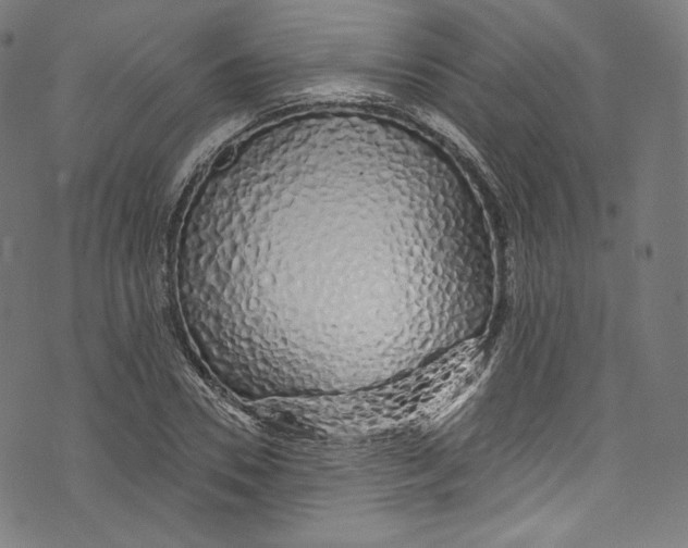 X0000072990930200608211512