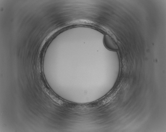 X0000072990931200608211512