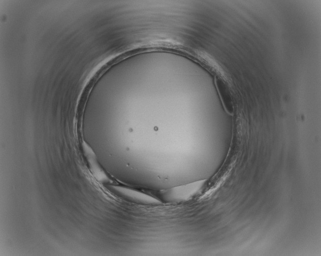 X0000072990932200608211512