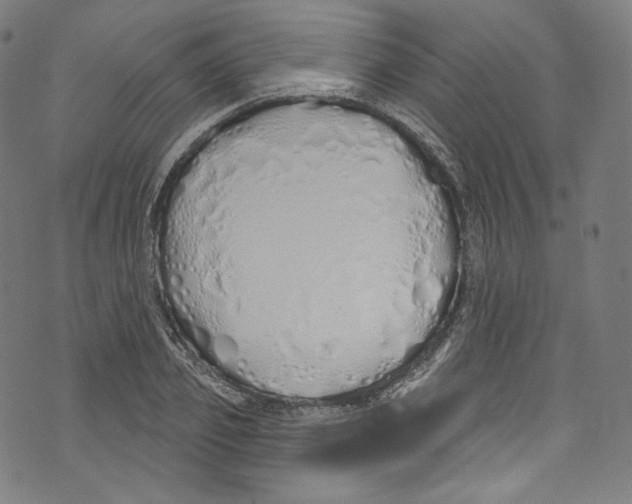 X0000072990933200608211512