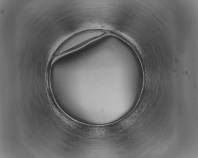 X0000072990935200608211512