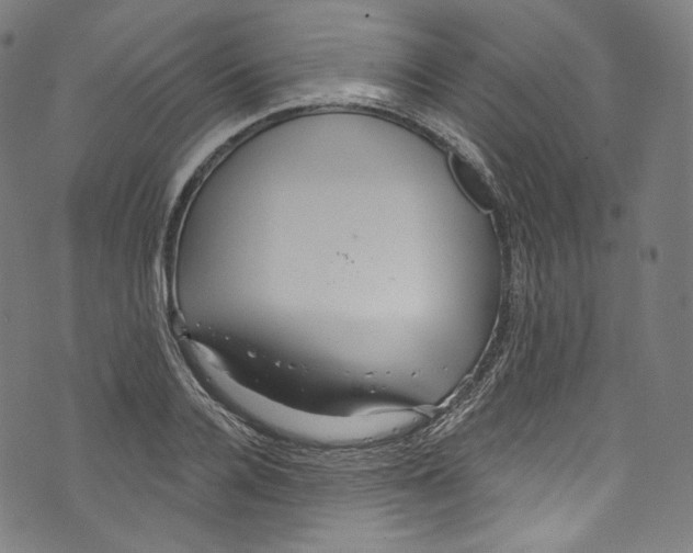 X0000072990936200608211512