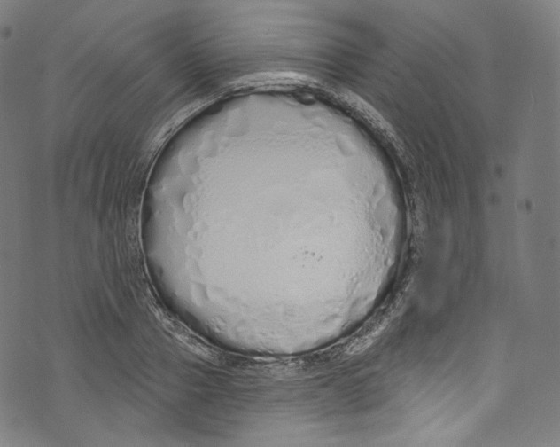 X0000072990937200608211512