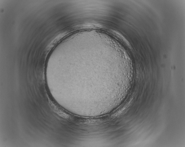 X0000072990938200608211512