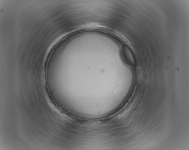 X0000072990939200608211512