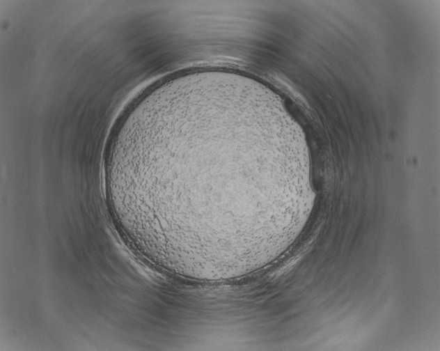 X0000072990940200608211512