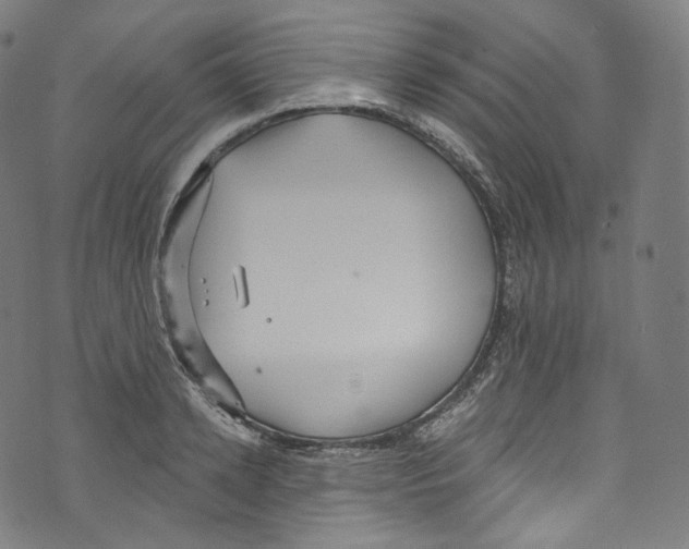 X0000072990942200608211512