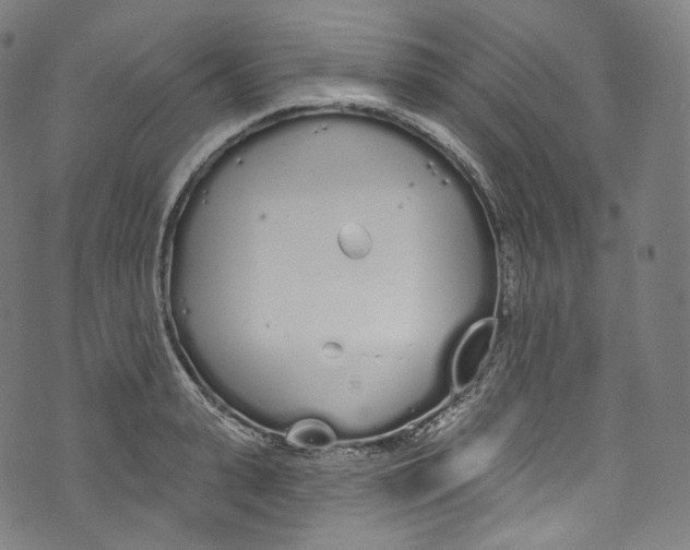 X0000072990943200608211512