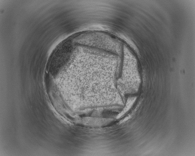 X0000072990944200608211512