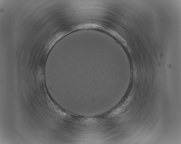 X0000072990945200608211512