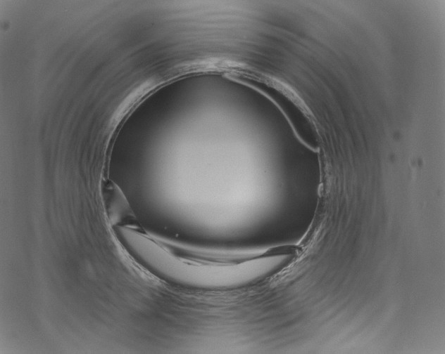 X0000072990946200608211512