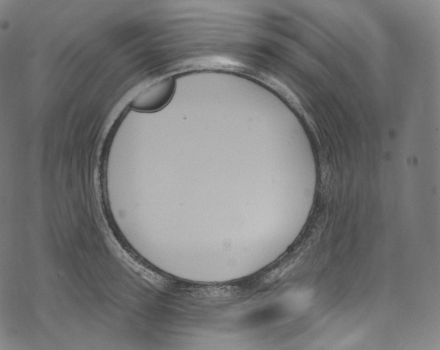 X0000072990947200608211512