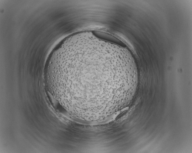 X0000072990948200608211512